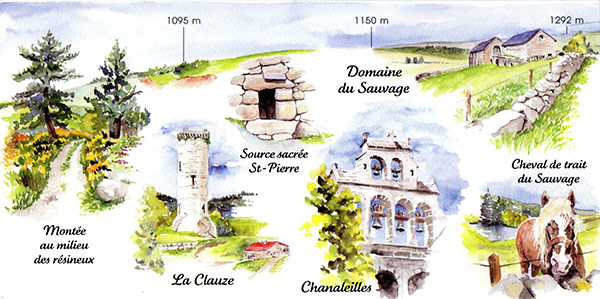 aquarelles-chemin-st-jacques03.jpg